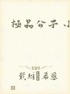极品公子 小说