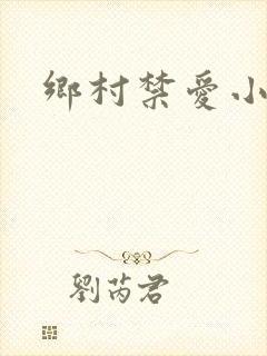 乡村禁爱小说封面