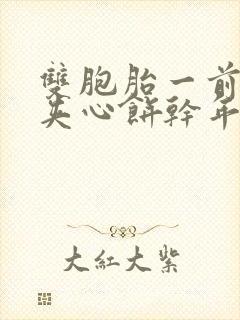 双胞胎一前一后夹心饼干年下