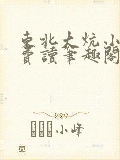 东北大炕小说免费读笔趣阁封面