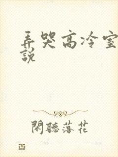 弄哭高冷室友小说