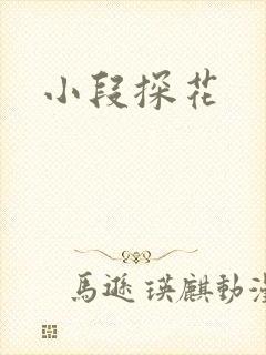 小段探花