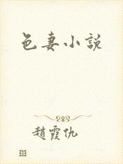 色妻小说封面
