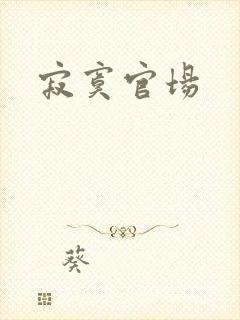 寂寞官场