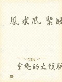 凤求凰 紫晓