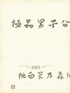 极品男子公寓