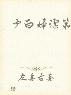 少白妇洁第二部