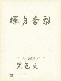 辉月杏梨