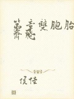 第章双胞胎姐妹齐飞