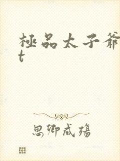 极品太子爷txt