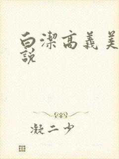 白洁高义美红小说封面