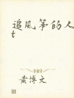 追风筝的人txt封面