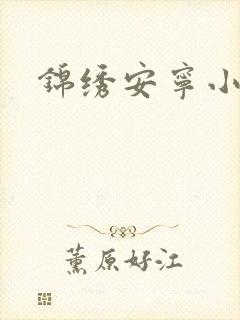 锦绣安宁小说封面