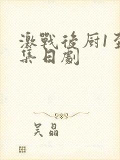激战后厨1至5集日剧