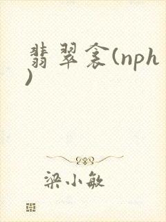 翡翠衾(nph)