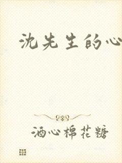沈先生的心头宝