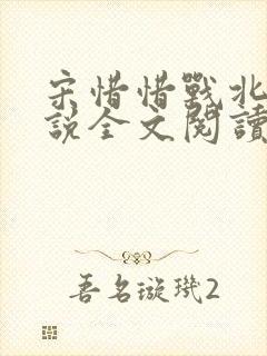 宋惜惜战北望小说全文阅读