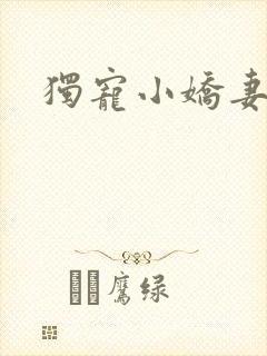 独宠小娇妻封面