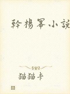 干杨幂小说