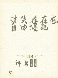 消失存在感消失自由侵犯