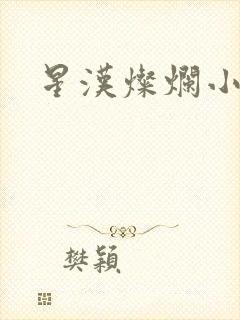 星汉灿烂小说