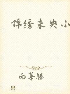 锦绣未央小说封面