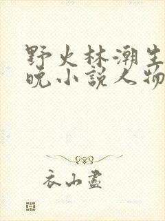 野火林潮生林晚晚小说人物野火