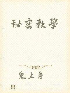 秘密教学封面