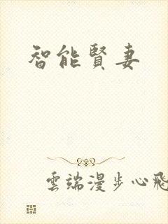 智能贤妻
