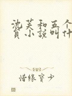 沈芙和五个消防员小说叫什么