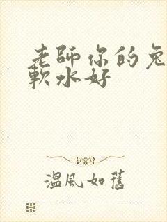 老师你的兔子好软水好封面