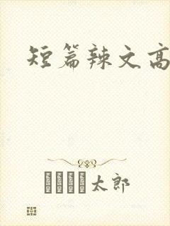 短篇辣文高h