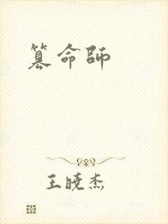 篡命师封面
