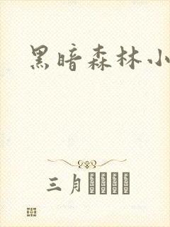 黑暗森林小说