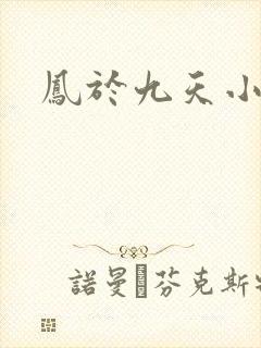 凤于九天小说