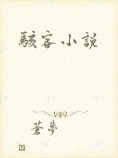 骇客小说