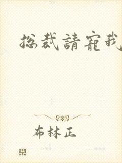 总裁请宠我封面