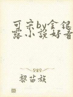 可宋by金银花露小说好看吗