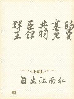 群臣共享的小公主银羽免费阅读封面