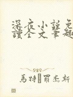 深夜小说免费阅读全文笔趣阁