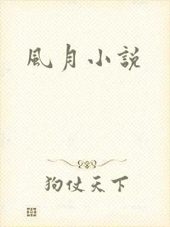 风月小说封面