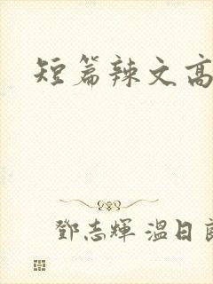 短篇辣文高h