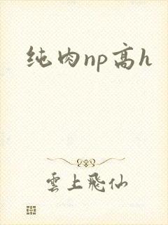 纯肉np高h