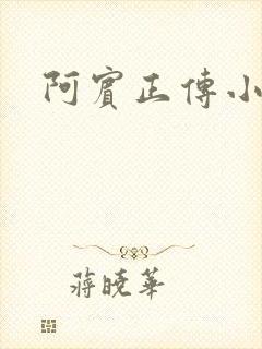阿宾正传小说