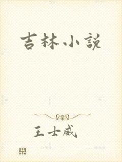 吉林小说封面