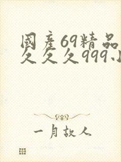 国产69精品久久久久999小说