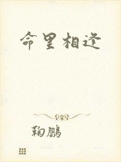命里相逢封面