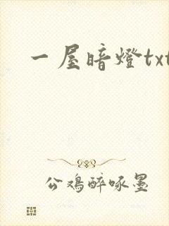 一屋暗灯txt