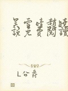 吴雪晴赵晓东小说免费阅读封面