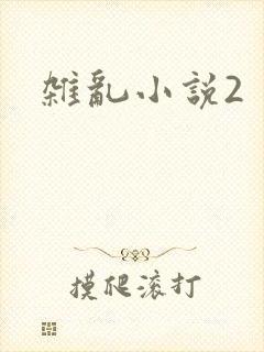 杂乱小说2